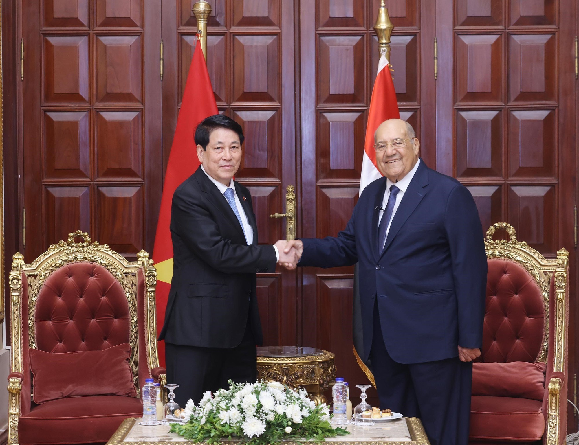 Chủ tịch nước Lương Cường hội kiến Chủ tịch Thượng viện Ai Cập Abdel-Wahab Abdel-Razeq